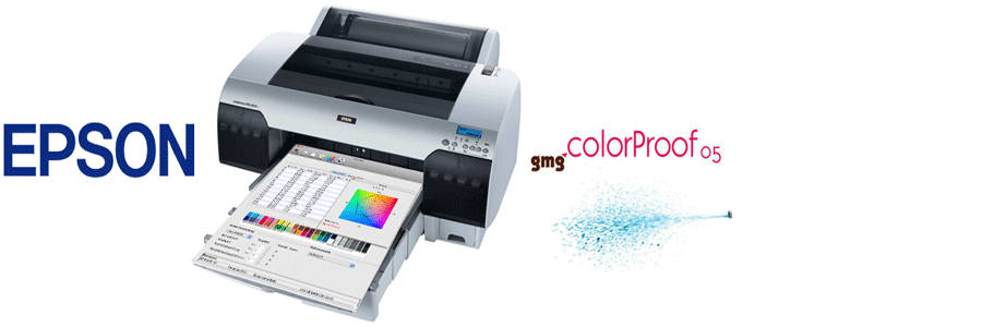 vasi colore